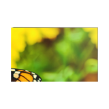 NEC 55" LED Ultra-Narrow Bezel 2x2 Video Wall Bundle — Being Shipped