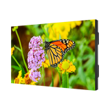 NEC 55" LED Ultra-Narrow Bezel 2x2 Video Wall Bundle — Being Shipped