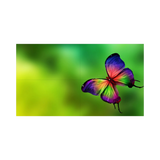 NEC 55" LED Ultra-Narrow Bezel 2x2 Video Wall Bundle — Being Shipped