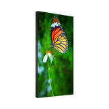 NEC 55" LED Ultra-Narrow Bezel 2x2 Video Wall Bundle — Being Shipped