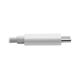 Tripp Lite USB C to HDMI, DisplayPort & VGA Adapter — Being Shipped