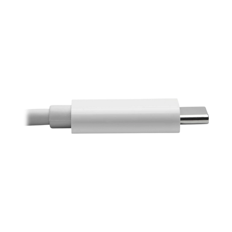 Tripp Lite USB C to HDMI, DisplayPort & VGA Adapter — Being Shipped
