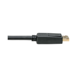 Tripp Lite DisplayPort to DVI Adapter Video Converter, Black (M/F), 1 ft. (0.31 m) — Being Shipped
