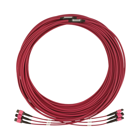 Tripp Lite 40/100/400G Multimode 50/125 OM4 Fiber Optic Cable (3x8F MTP/MPO-PC F/F), LSZH, Magenta, 30 m (98.4 ft.) — Being Shipped