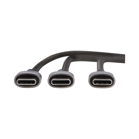 Tripp Lite 100W 6ft USB-C 2-in-1 Charging Cable — Being Shipped