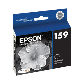 Epson UltraChrome 159 Photo Black Ink Cartridge for R2000 — Being Shipped