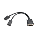 Tripp Lite DMS-59 to Dual DisplayPort Splitter Y Cable (M to 2xF), 1 ft. (0.31 m) — Being Shipped