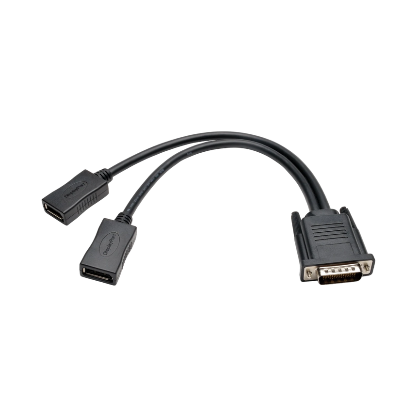 Tripp Lite DMS-59 to Dual DisplayPort Splitter Y Cable (M to 2xF), 1 ft. (0.31 m) — Being Shipped