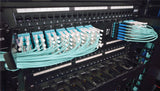 Tripp Lite Enclosure for 14 High-Density Fiber Cassettes, 2U — Being Shipped