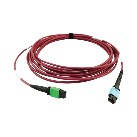 Tripp Lite 400G Multimode 50/125 OM4 Plenum Fiber Optic Cable, 16F MTP/MPO-APC to 24F MTP/MPO-UPC (F/F), Magenta, 5 m — Being Shipped