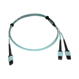 Tripp Lite 400G Multimode 50/125 OM4 Plenum Fiber Optic Cable, 24F MTP/MPO-PC to (x2) 12F MTP/MPO-PC (F/F), Aqua, 1 m — Being Shipped