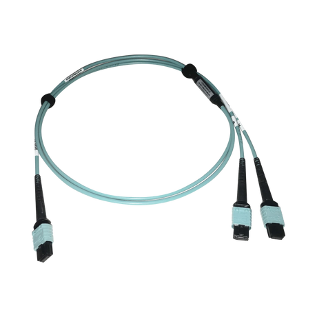 Tripp Lite 400G Multimode 50/125 OM4 Plenum Fiber Optic Cable, 24F MTP/MPO-PC to (x2) 12F MTP/MPO-PC (F/F), Aqua, 1 m — Being Shipped