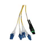 Tripp Lite Preloaded Fiber Panel, 1U - 2x (12F MTP/MPO-APC to 4x LC Duplex F/M) 8F Trunk Cables, OS2 Singlemode, 20 m (65.6 ft.) — Being Shipped