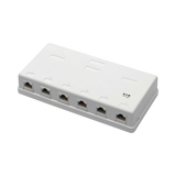 Tripp Lite Pre-Configured Unshielded Cat6 6-Port Surface-Mount Box, 110 IDC, RJ45, White — Being Shipped