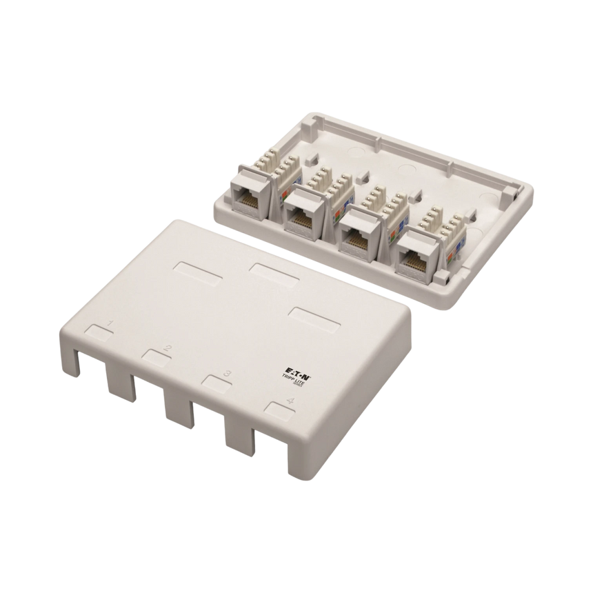 Tripp Lite Pre-Configured Unshielded Cat6 4-Port Surface-Mount Box, 110 IDC, RJ45, White — Being Shipped