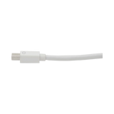 Tripp Lite Keyspan Mini DisplayPort to VGA/DVI/HDMI All-in-One Video Converter Adapter, White, 6-in. (15.24 cm) — Being Shipped