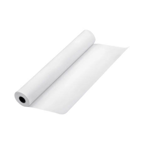 Epson DS Transfer Multi-Use Paper (17" x 100' Roll) — Being Shipped