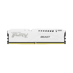 Kingston FURY Beast 64GB DDR5 5600MT/s CL40 Memory (2 x 32GB) — Being Shipped
