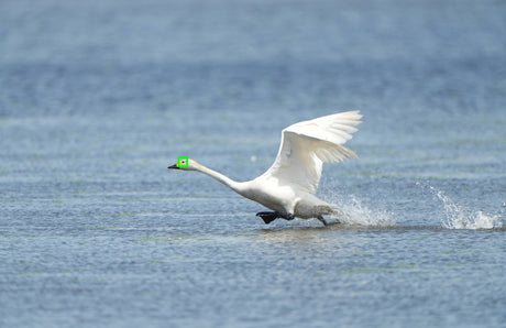 Sony a7R V Mirrorless Camera — Being Shipped