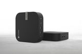 ASUS Chromebox 5 Enterprise Mini Desktop Intel Core i7-1260P, 16GB  RAM, 256GB SSD — Being Shipped