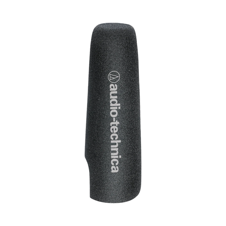 Audio-Technica AT8024 Stereo/Mono Camera-Mount Microphone — Being Shipped