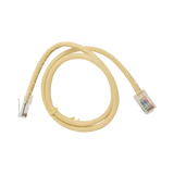 Belkin RJ45 CAT-5e Patch Cable 2 ft (Yellow) — Being Shipped