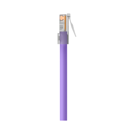 Belkin CAT6 Ethernet Patch Cable with RJ45 Gold-Plated Connectors (Purple) — Being Shipped