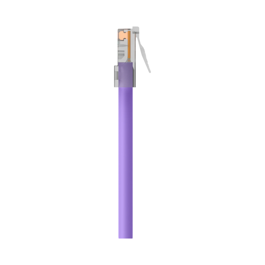 Belkin CAT6 Ethernet Patch Cable with RJ45 Gold-Plated Connectors (Purple) — Being Shipped
