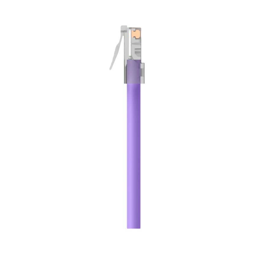 Belkin CAT6 Ethernet Patch Cable with RJ45 Gold-Plated Connectors (Purple) — Being Shipped