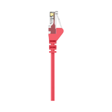 Belkin CAT-6 Ethernet Patch Cable 6in (Red) — Being Shipped
