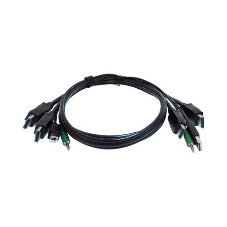 Black Box 10ft Secure KVM Cable with DisplayPort, USB, Audio — Being Shipped