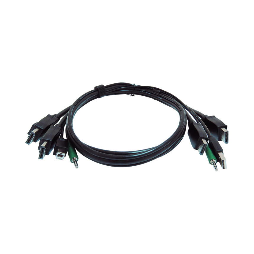 Black Box 10ft Secure KVM Cable with DisplayPort, USB, Audio — Being Shipped