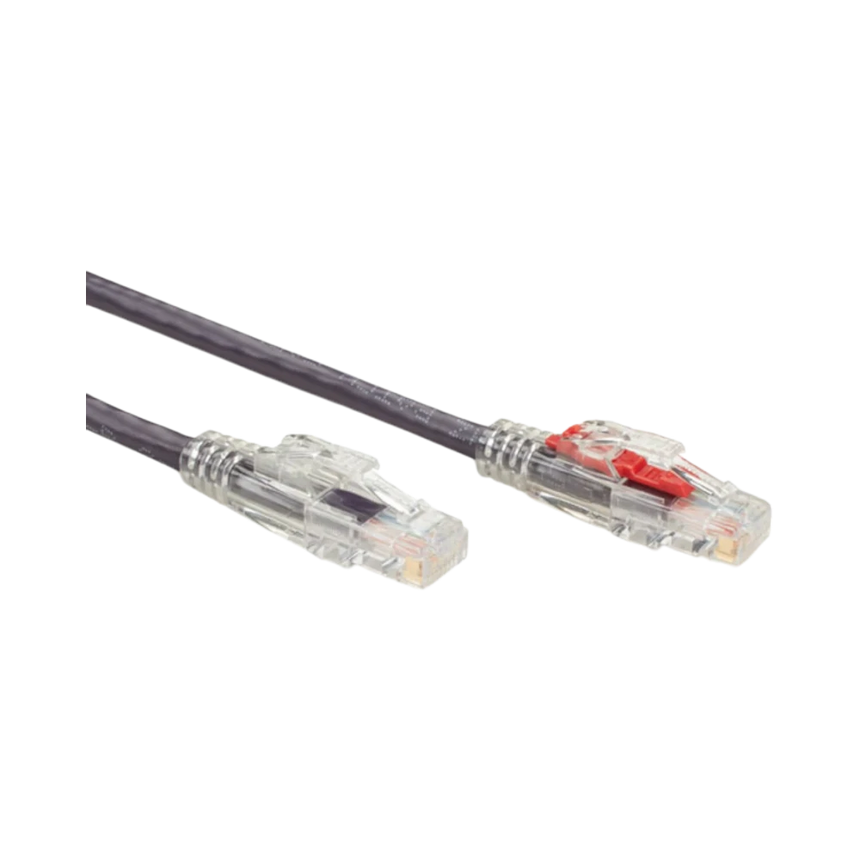 Black Box 1ft GigaTrue 3 CAT6 550-MHz Locking Ethernet Cable (Purple) — Being Shipped