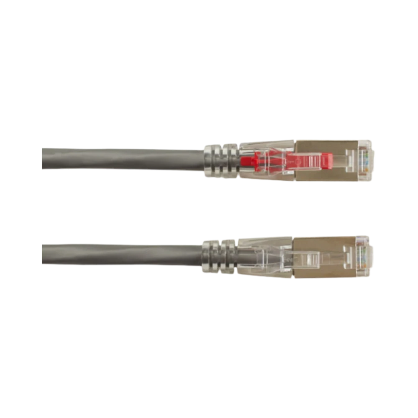 Black Box 1ft GigaTrue 3 CAT6 Locking Shielded Ethernet Cable (Gray) — Being Shipped