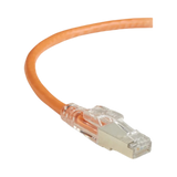 Black Box 2ft GigaTrue 3 CAT6 Shielded Ethernet Patch Cable (Orange) — Being Shipped