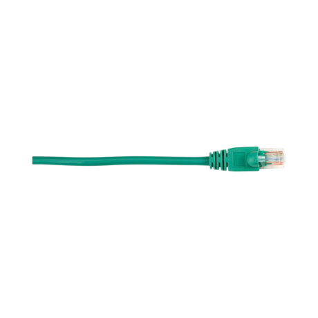 Black Box 1ft CAT5e Molded Snagless Ethernet Cable (Green) — Being Shipped