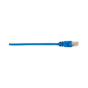Black Box 5ft CAT6 250MHz Snagless Ethernet Patch Cable (Blue) — Being Shipped