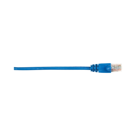 Black Box 5ft CAT6 250MHz Snagless Ethernet Patch Cable (Blue) — Being Shipped