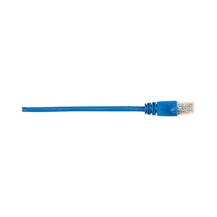 Black Box 5ft CAT6 250MHz Snagless Ethernet Patch Cable (Blue) — Being Shipped