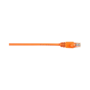 Black Box 1ft CAT6 250MHz Snagless Ethernet Patch Cable (Orange) — Being Shipped
