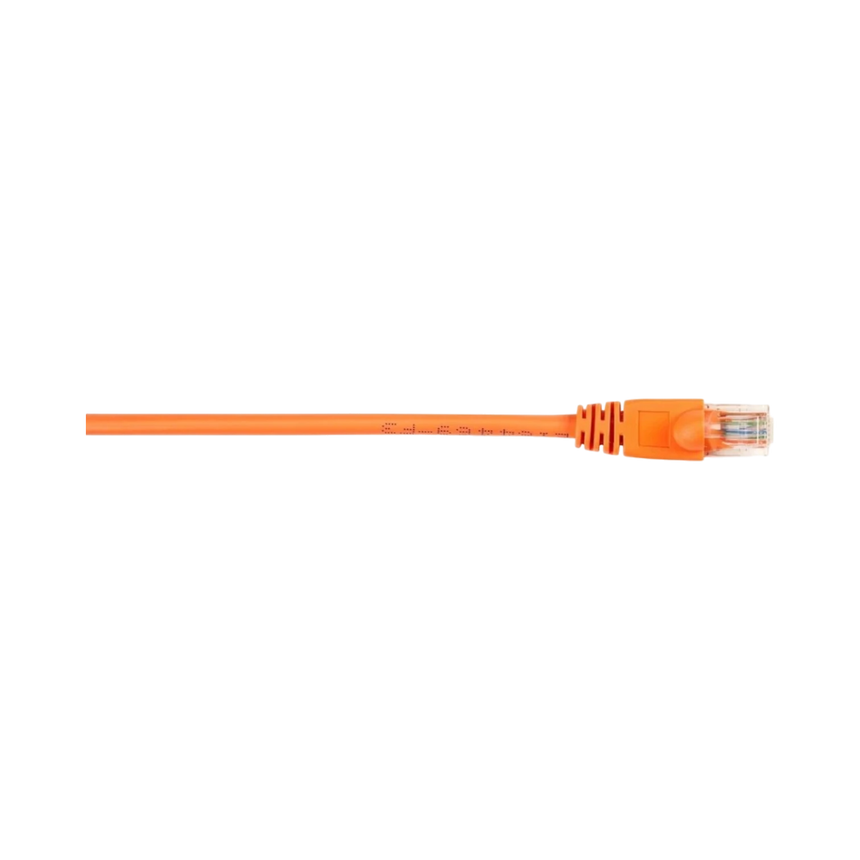 Black Box 10ft CAT6 250MHz Snagless Ethernet Patch Cable (Orange) — Being Shipped