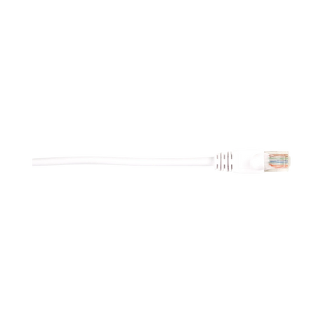 Black Box 1ft CAT6 250-MHz Molded Snagless Ethernet Cable (White) — Being Shipped