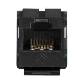 Black Box CAT6 Unshielded Keystone Jack 110 Punchdown Type (Black) — Being Shipped