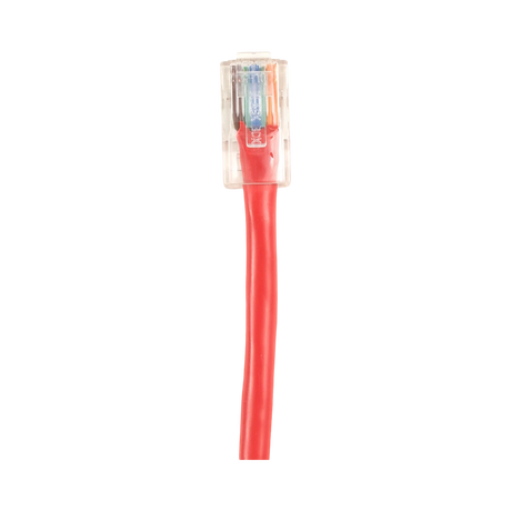 Black Box 3ft UTP PVC CAT6 Ethernet Patch Cable (Red) — Being Shipped