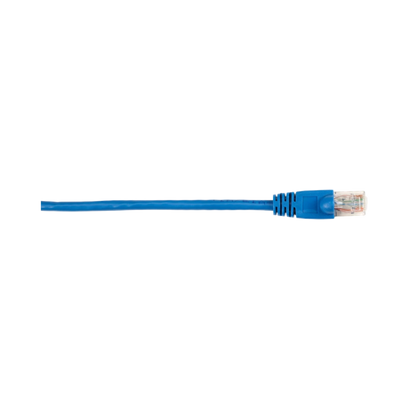 Black Box 20ft CAT6 Snagless Ethernet Patch Cable (Blue) — Being Shipped