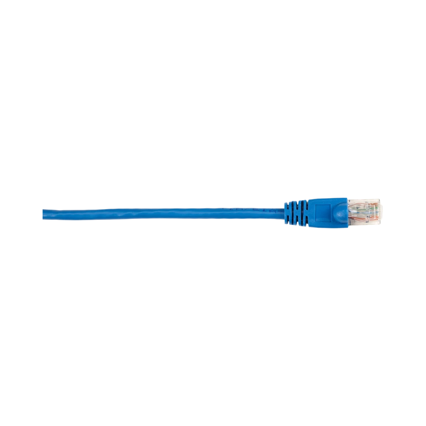 Black Box 20ft CAT6 Snagless Ethernet Patch Cable (Blue) — Being Shipped
