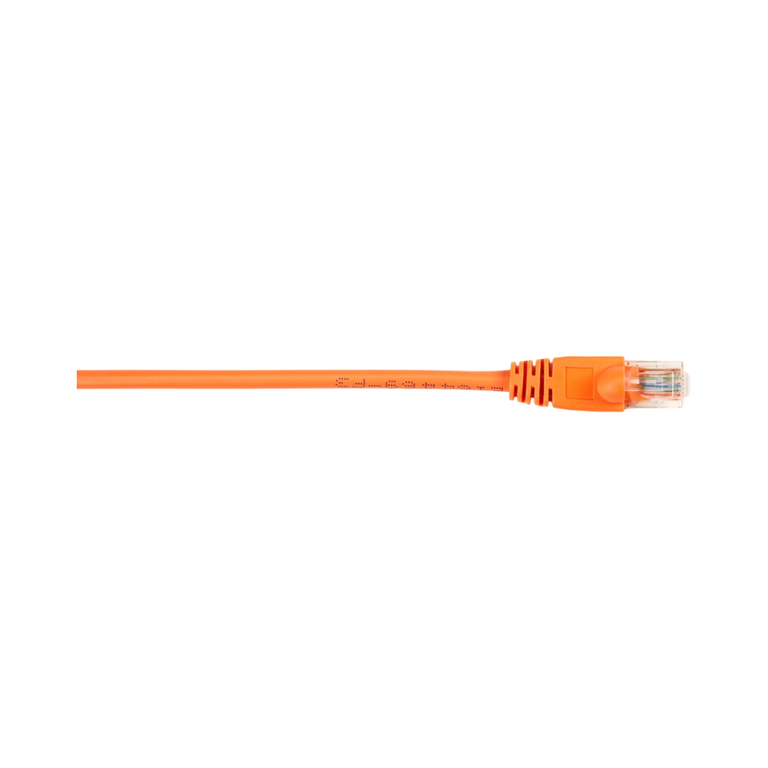 Black Box 4ft CAT5e 100MHz UTP Snagless Patch Cable (Orange) — Being Shipped