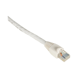 Black Box 1ft CAT6 Ethernet Patch Cable (White) — Being Shipped