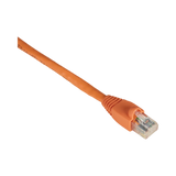 Black Box 6ft CAT6 550MHz Ethernet Cable, Snagless (Orange) — Being Shipped
