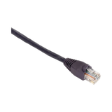 Black Box 6ft Snagless CAT5e UTP Ethernet Patch Cable (Purple) — Being Shipped